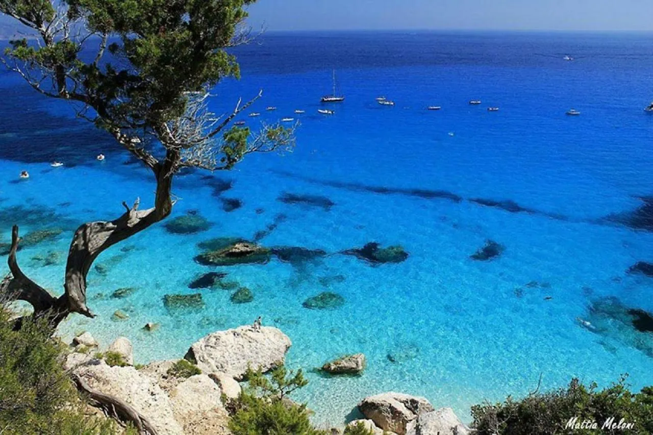 Sardinia Suite Apartment Dorgali location